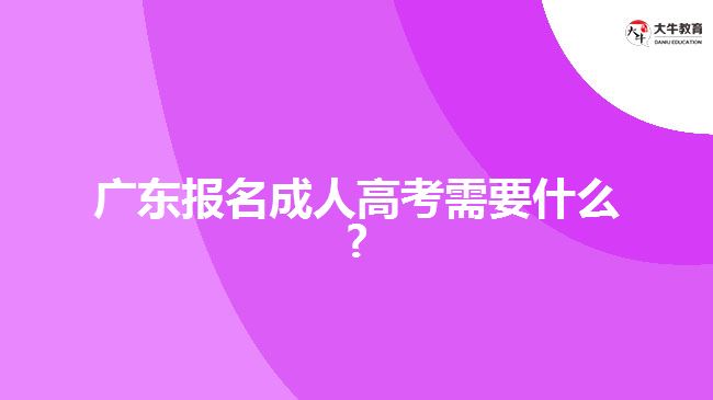 广东报名成人高考需要什么