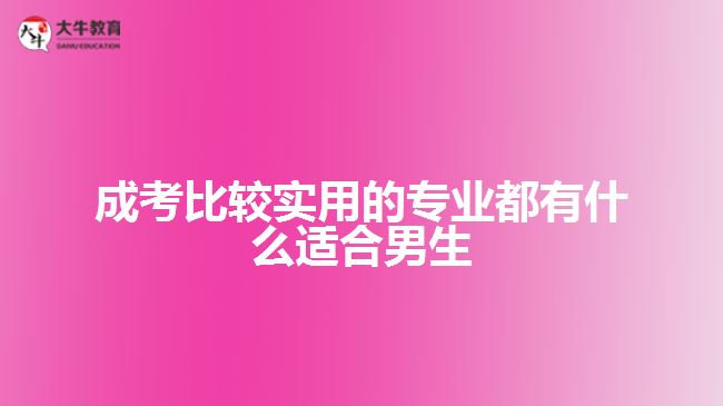 成考比较实用的专业适合男生