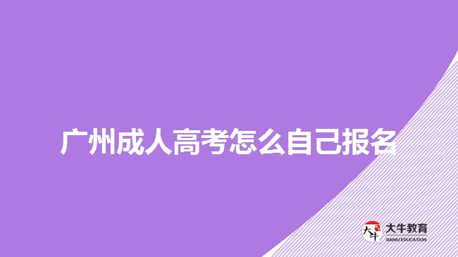 广州成人高考怎么自己报名