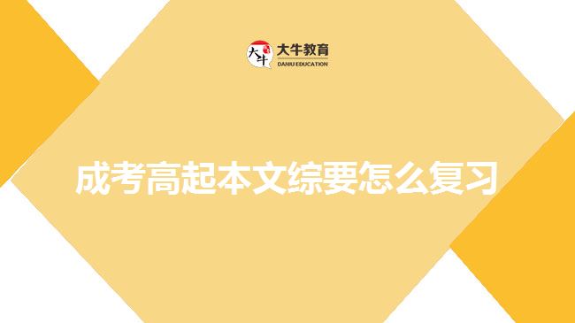 成考高起本文综要怎么复习