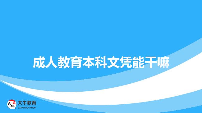 成人教育本科文凭能干嘛