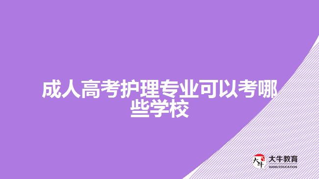 成人高考护理专业可以考哪些学校