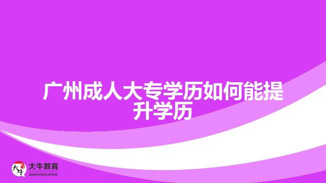 广州成人大专学历如何能提升学历